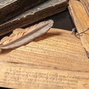 थुलिया नाडी आवश्यक पैकेज