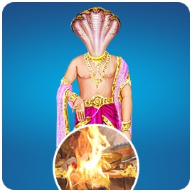 केतु के आशीर्वाद के लिए व्यक्तिगत केतु यज