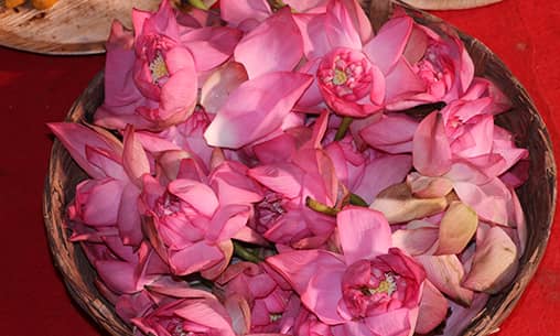 4 दिनी दिवाली के प्रत्येक दिन शक्तिस्थलों(मंदिर) पर महालक्ष्मी को कमल की माला 