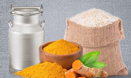 केरल मंदिर में नाग देवताओं को नूरम पालुम पूजा (चावल, हल्दी और गाय के दूध की पवित्र भेंट)