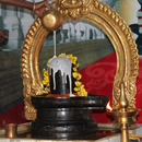 Interactive Fire Lab