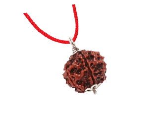 Maha Shivaratri Rudraksha