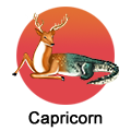 capricorn