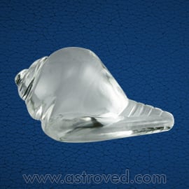 Energized Crystal Conch Shell