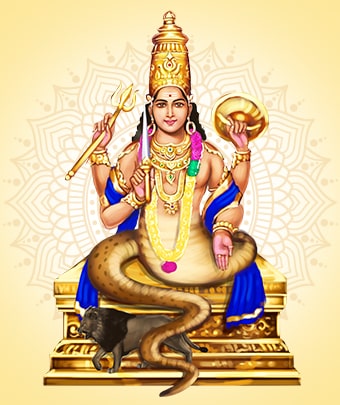 Rahu Pooja