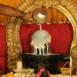 Group Sponsoring One Kala Abishekam (Hydration Pooja) at 320 Less Maintained Shiva Powerspots
