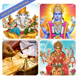 Diwali Elite Plus Package