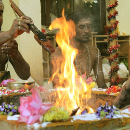 Avahanti FireLab Avahanti FireLab