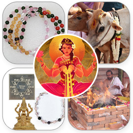 Diwali Elite Plus Package