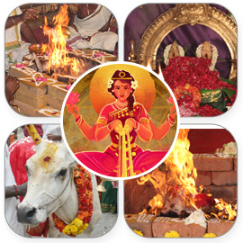 Diwali Essential Package