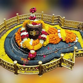 Individual Mrityunjaya Fire Lab 