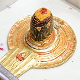 Individual Mrityunjaya Fire Lab 