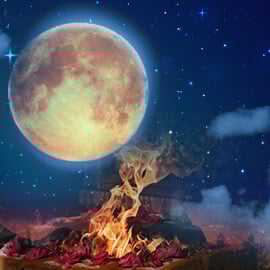 Individual Moon Homa  Individual Moon Homa