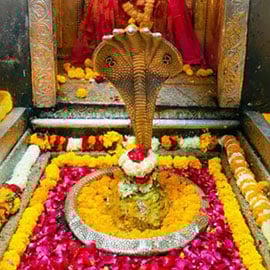 Individual Mrityunjaya Fire Lab 