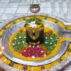 Individual Mrityunjaya Fire Lab 