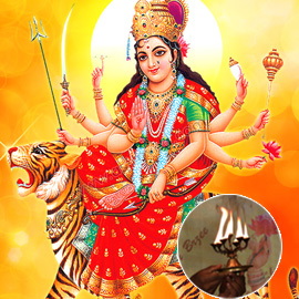 வசந்த நவராத்திரி எசென்ஷியல் பேக்கேஜ்