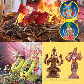 WEALTH & WISDOM PACKAGE SERVICES