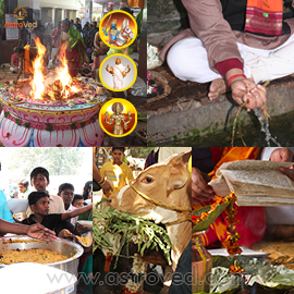 Aadi Amavasya Elite Ancestral Poojas