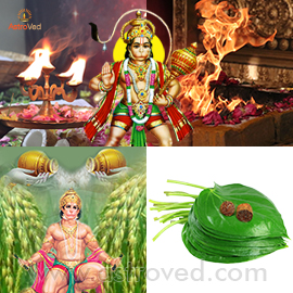 Elite Plus Rituals for Hanuman Jayanthi (Hanuman’s Birthday)