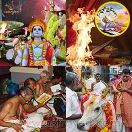 Vaikunta Premier Package for Dec 2017 - Two installments