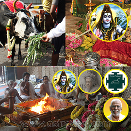 Enhanced Rituals for Agastya Spinach