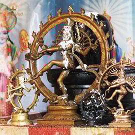  NATARAJA ABISHEKAM (ELEMENTAL HYDRATION CEREMONY) 