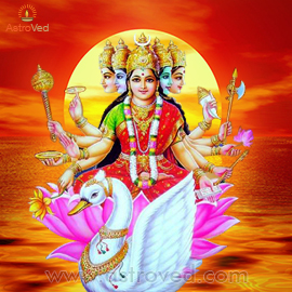 Grand Group Gayatri Homa 