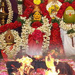 Anuradha Star Days for Wealth & Abundance