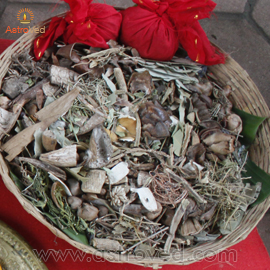 Homa Herbs Sponsorship for Shivaratri Ceremonies