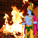 Individual Krishna Fire Lab
