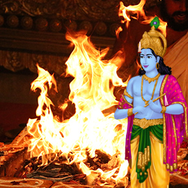 Individual Krishna Homa Individual Krishna Homa