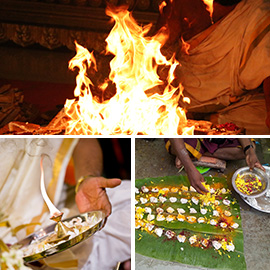 Vedic New Year Basic Package