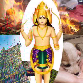 கால பைரவ ஜெயந்திபிரிமியர் பேக்கேஜ் 
                                        

<ul class=