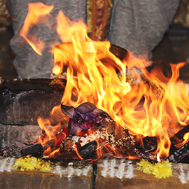 Individual Shreem Brzee Wealth Homa on Diwali