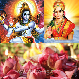 Deity Sponsorship Program 2015: Sponsorship Level