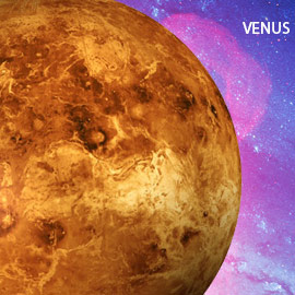 Venus Incense 6 Pack
