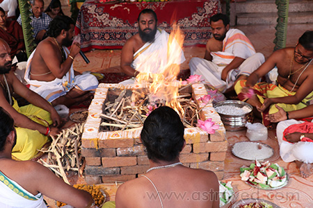 Nakshatra Shanti Chanting and Navagraha Homa