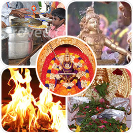 Makara-Jyothi-2022-Basic-Package400