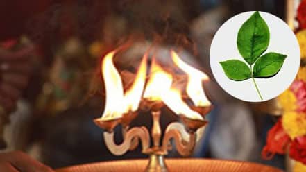 Group Dharmasastha Homa 