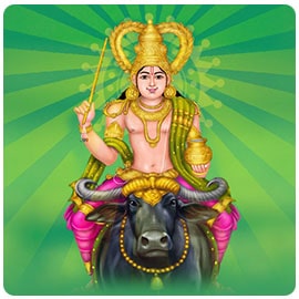 vishnumaya homa