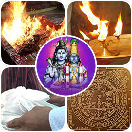 90-Day Group Ultimate Health Booster Package 90-Day Group Ultimate Health Booster Package