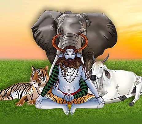 Vishnu Instills Spiritual Bliss