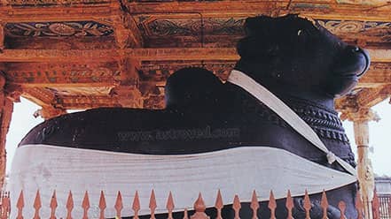 Archana (Pooja) to Rukmani