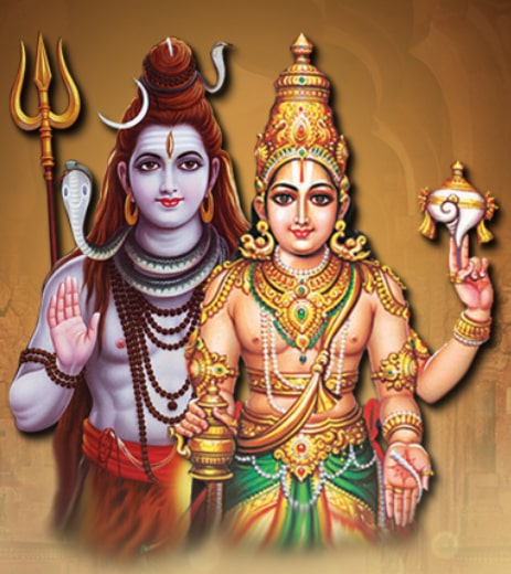 ultimate-health-booster-lp Ultimate Health Booster