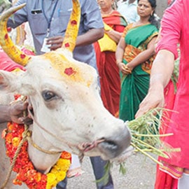Makara-Jyothi-2022-Basic-Package400