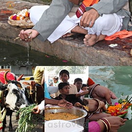 Royal 1-Year Tarpanam Program