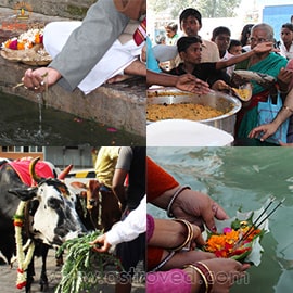 1-Year Tarpanam Program