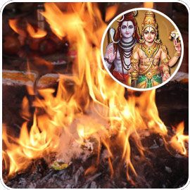 Individual-Shankaranarayana-Homa400