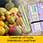 Akshaya Tritiya Advanced Package
