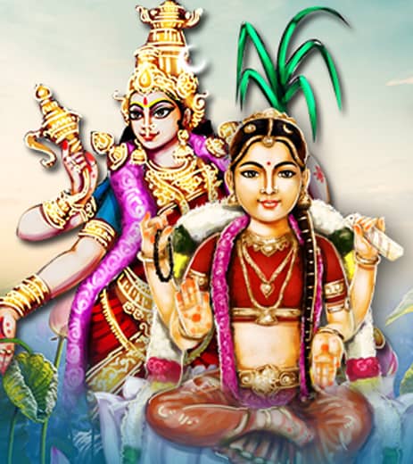 Vasant-Navaratri-09mar22-in-feature RATHA SAPTAMI